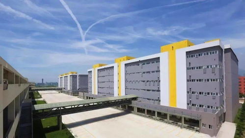 悠悠塘河風(fēng)光攝影大賽正式啟動(dòng)，邀您定格水韻，贏取驚喜大獎(jiǎng)