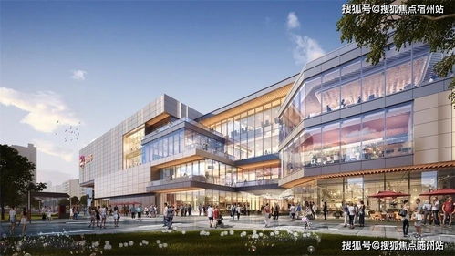 金山楓涇·梧桐印象 古鎮(zhèn)旁的純新盤，于商業(yè)繁華處遇見詩(shī)意棲居